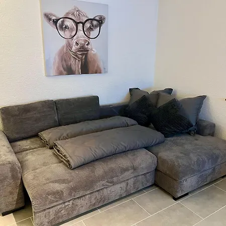 Schoenes Ferienapartement In Feldrandlage * ライリンゲン